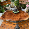 Bàn Cafe gỗ me tây Cf50- Bàn sofa, bàn decor sân vườn đẹp